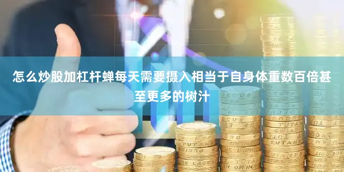 怎么炒股加杠杆蝉每天需要摄入相当于自身体重数百倍甚至更多的树汁