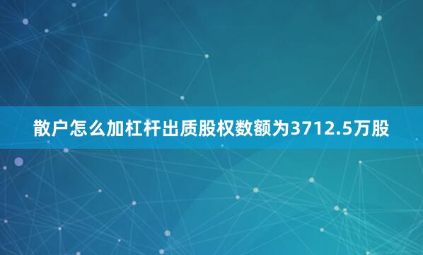 散户怎么加杠杆出质股权数额为3712.5万股