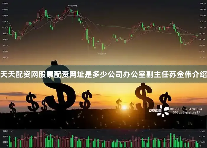天天配资网股票配资网址是多少公司办公室副主任苏金伟介绍
