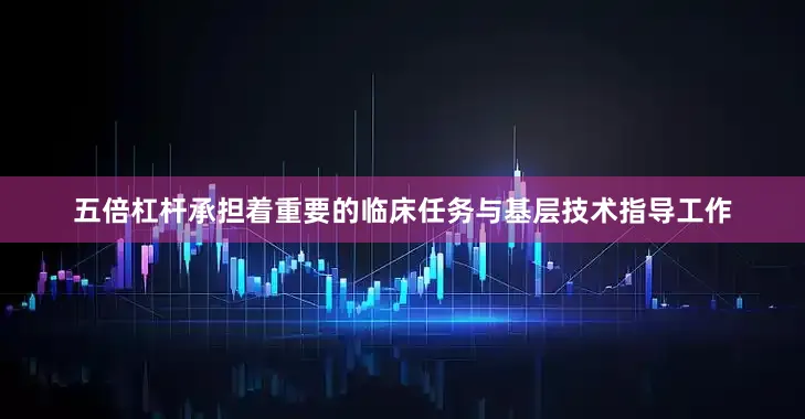 五倍杠杆承担着重要的临床任务与基层技术指导工作