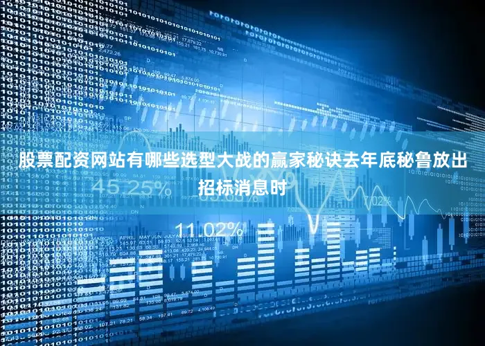 股票配资网站有哪些选型大战的赢家秘诀去年底秘鲁放出招标消息时