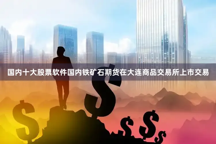 国内十大股票软件国内铁矿石期货在大连商品交易所上市交易